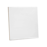 Tegel 20x20 glanzend met je eigen foto en/of tekst