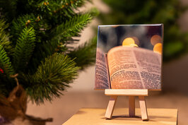 tegel 11x11 cm 'Bijbel'